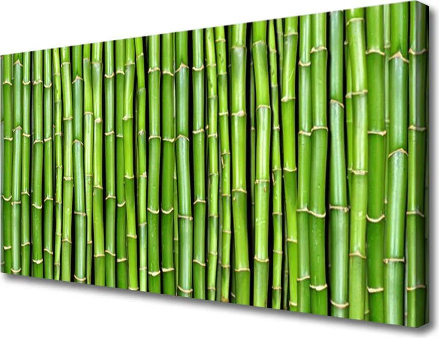 Zdjęcie na płótnie Kompozycja z Pędów Bambusa