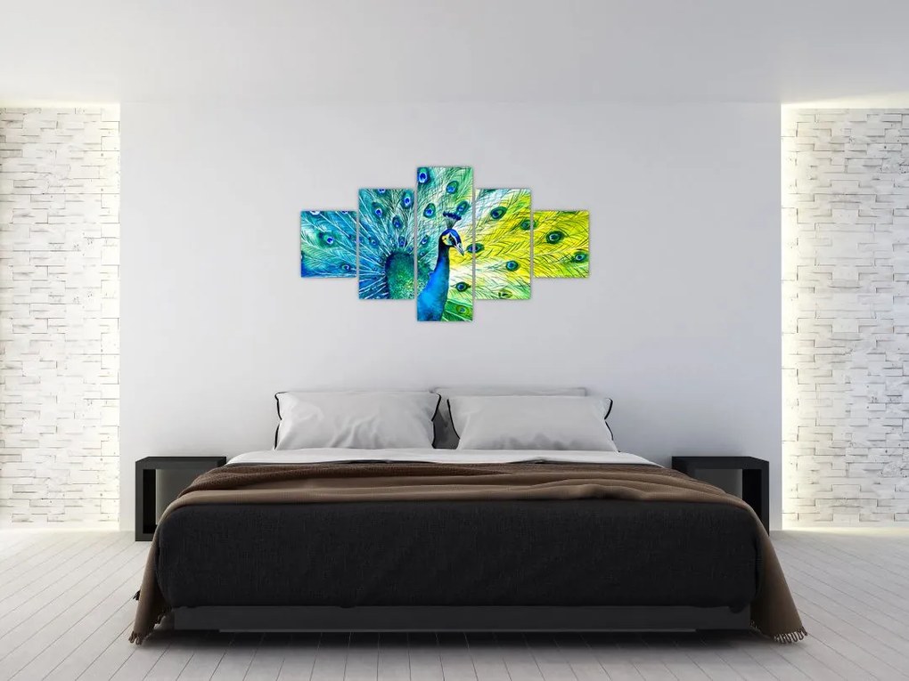 Obraz pawia (125x70 cm)
