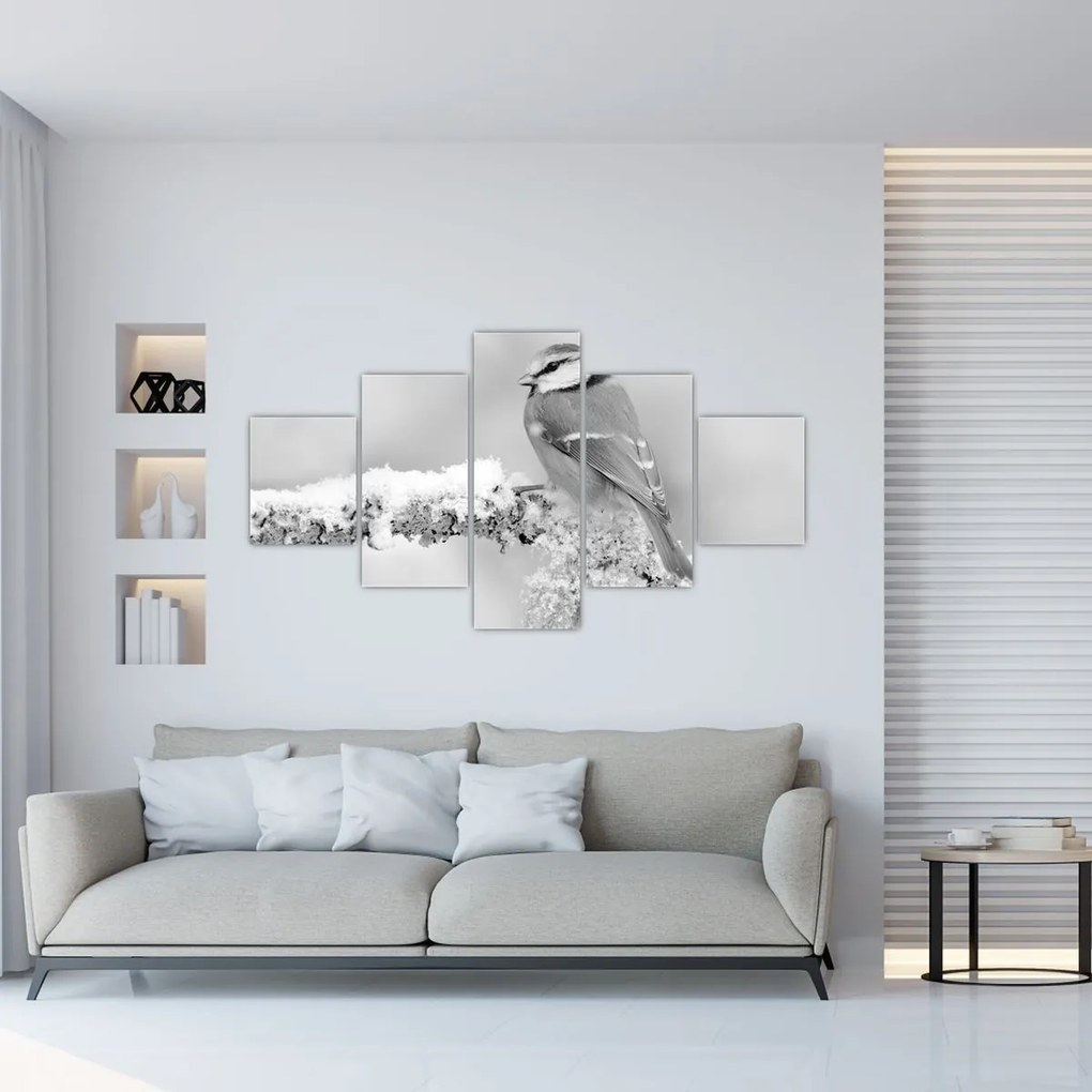 Obraz - Ptak na gałęzi (125x70 cm)
