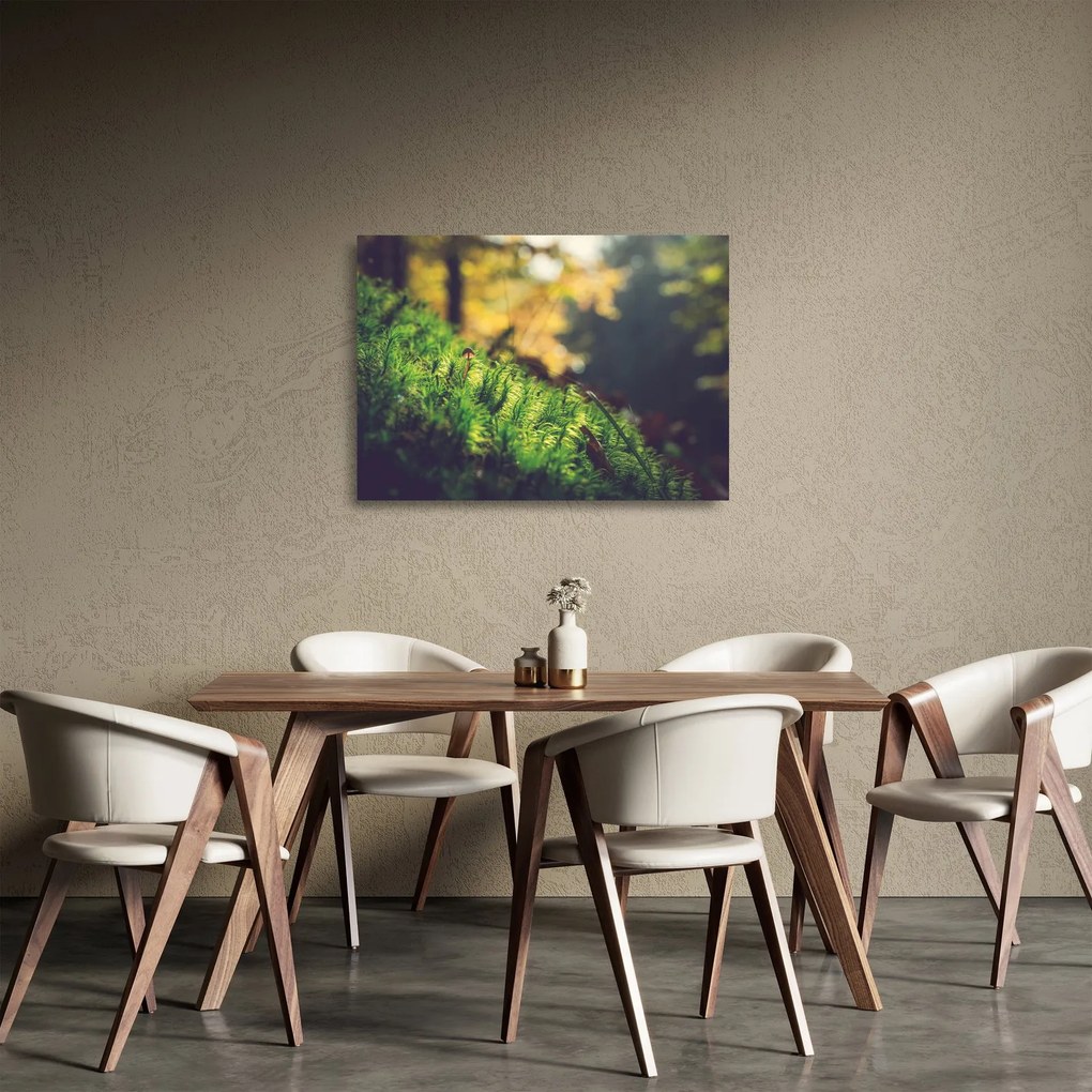 Obraz na szkle mchu z grzybem (70x50 cm)