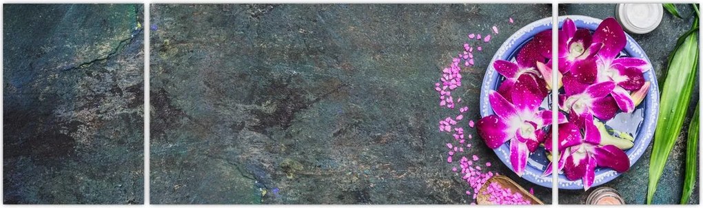 Obraz - Wellness (170x50 cm)