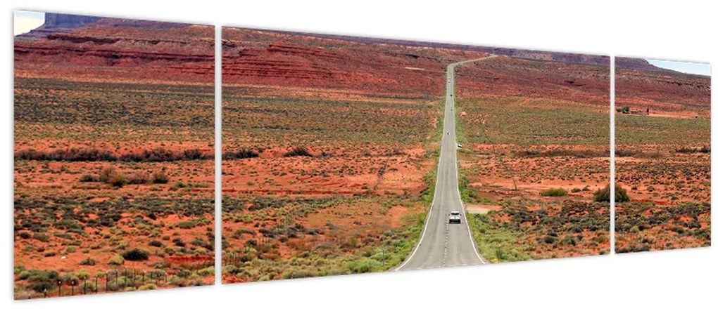 Obraz - U.S. Rote 163 (170x50 cm)