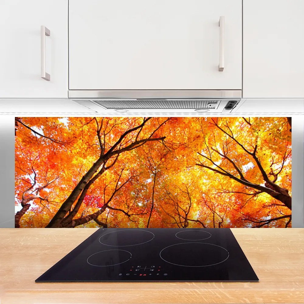 Szkło do Kuchni na Ścianę Gęsty Las Liściasty