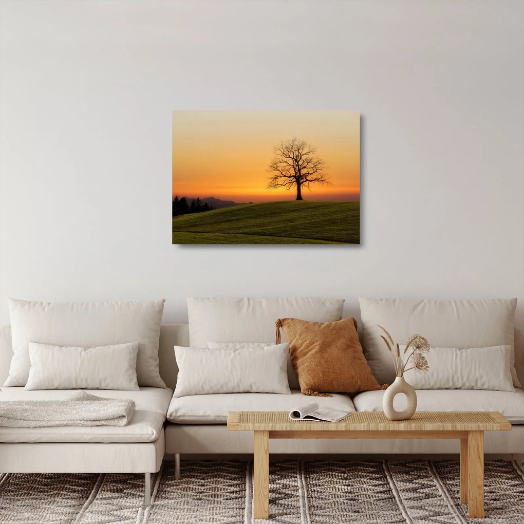 Obraz na szkle - zachód słońca na łące (70x50 cm)