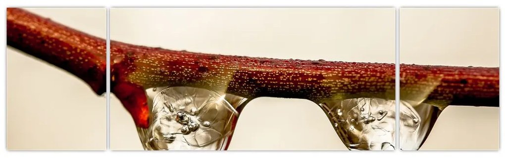 Obraz kropli na gałęzi (170x50 cm)