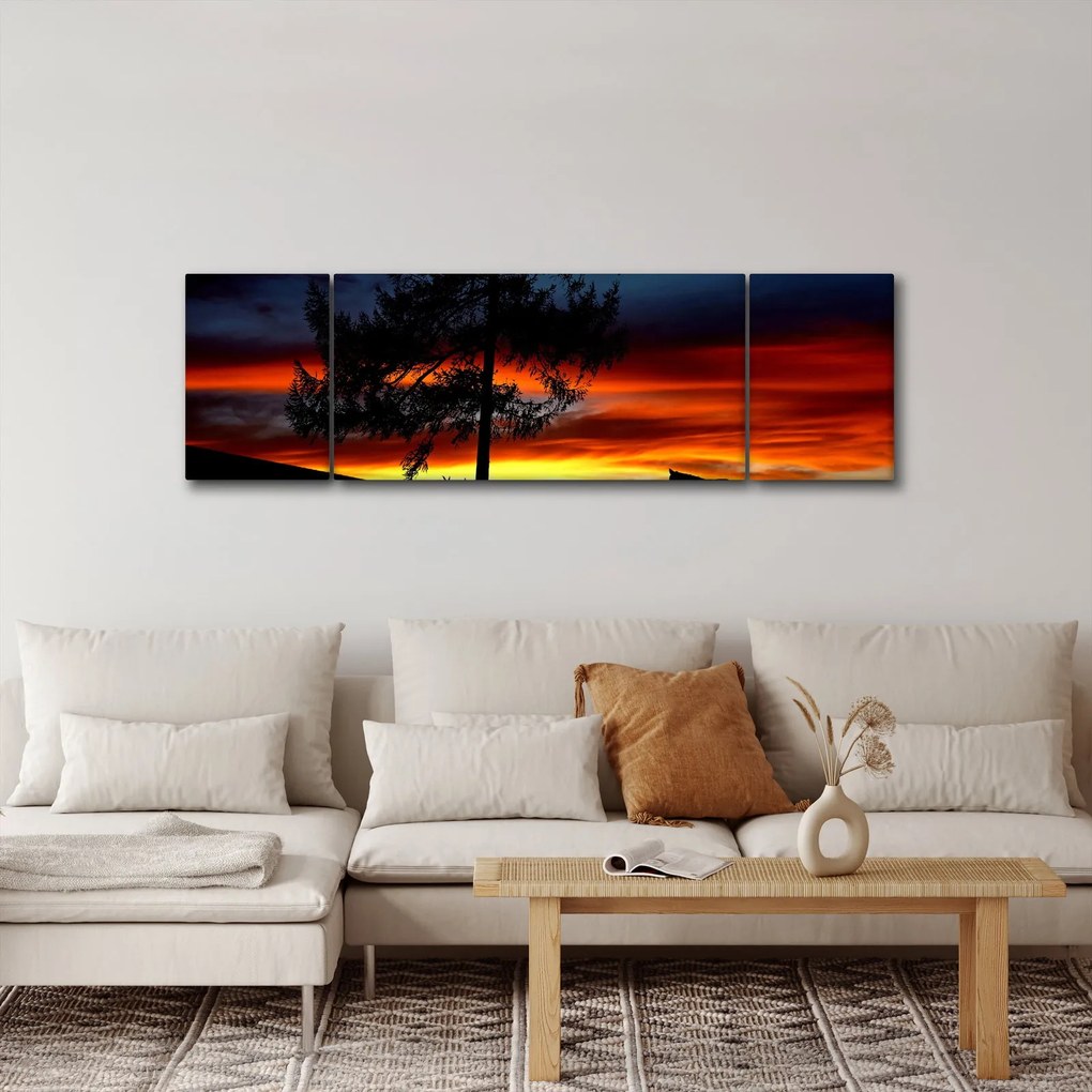 Obraz - Sylwetka wilka (170x50 cm)