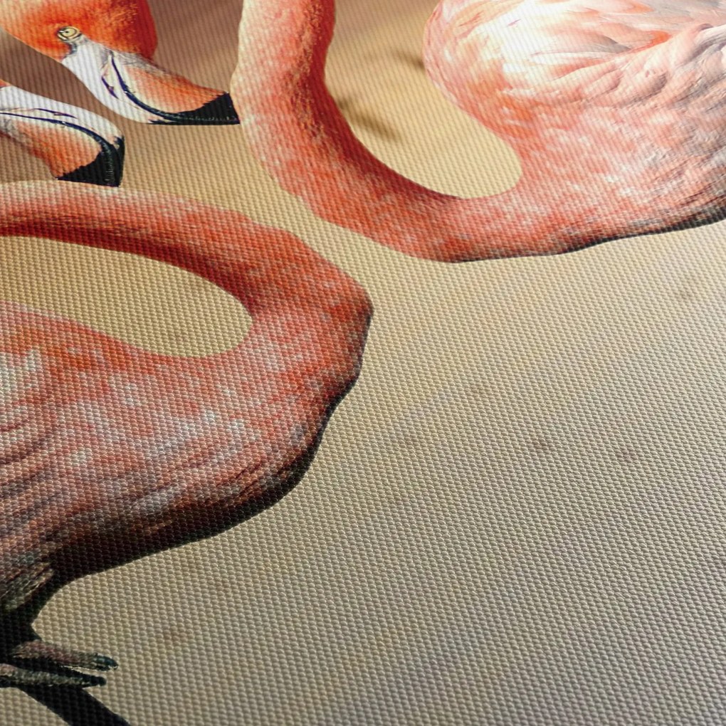 Obraz - dwa flamingi (125x70 cm)
