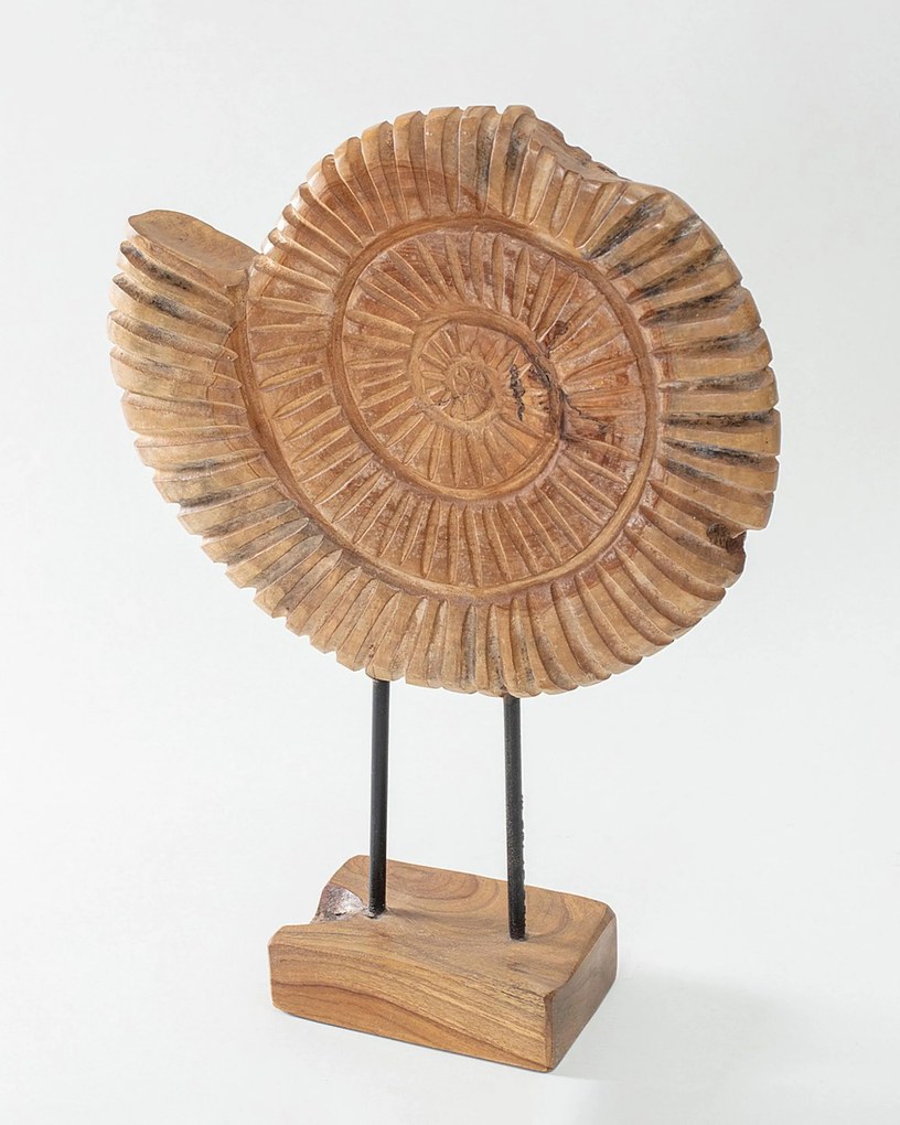Dekoracja Fossil 45 cm