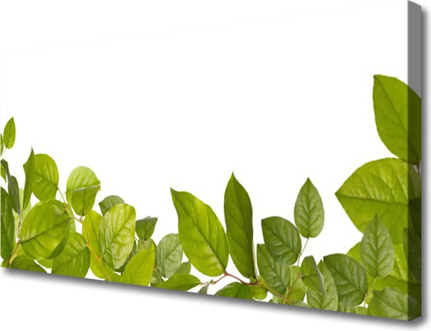 Obraz canvas Organiczna Tekstura Liści