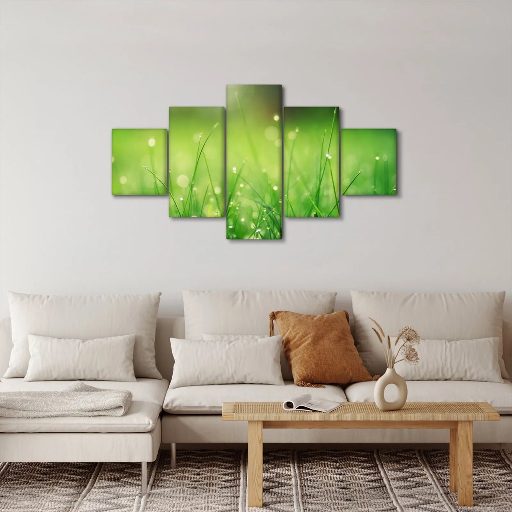 Obraz - rosa na trawie (125x70 cm)