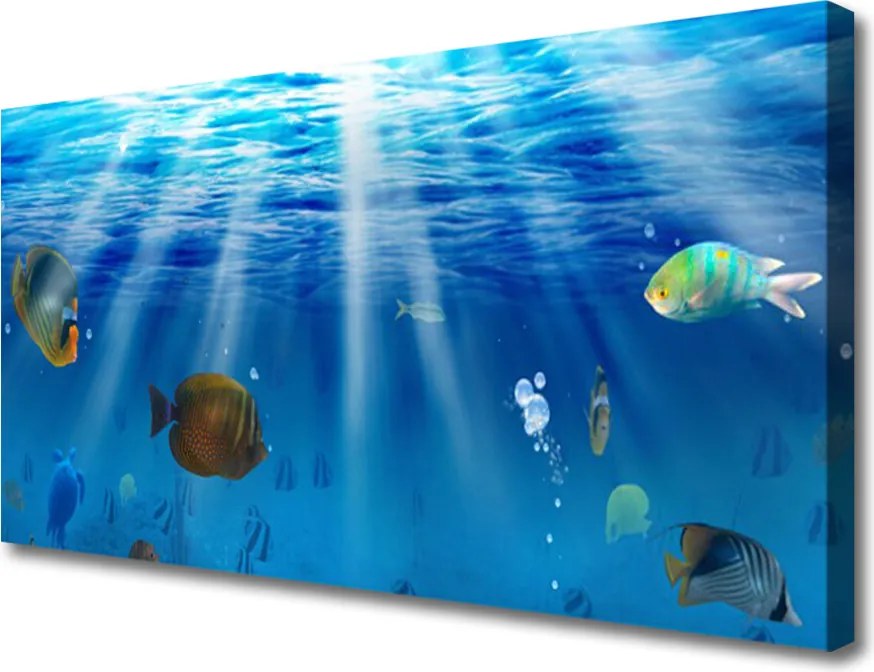 Obraz na płótnie Egzotyczna Ryba w Tonii