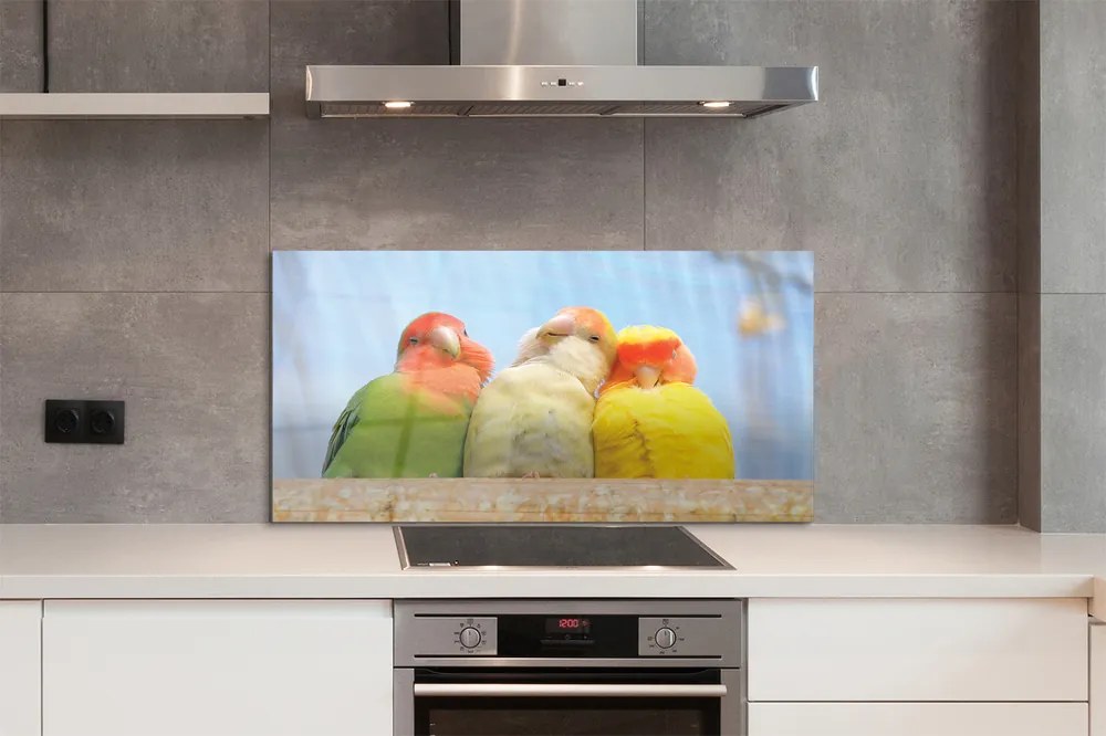 Panel Kuchenny Szklany Feeria Barw Tropikalnych Papug