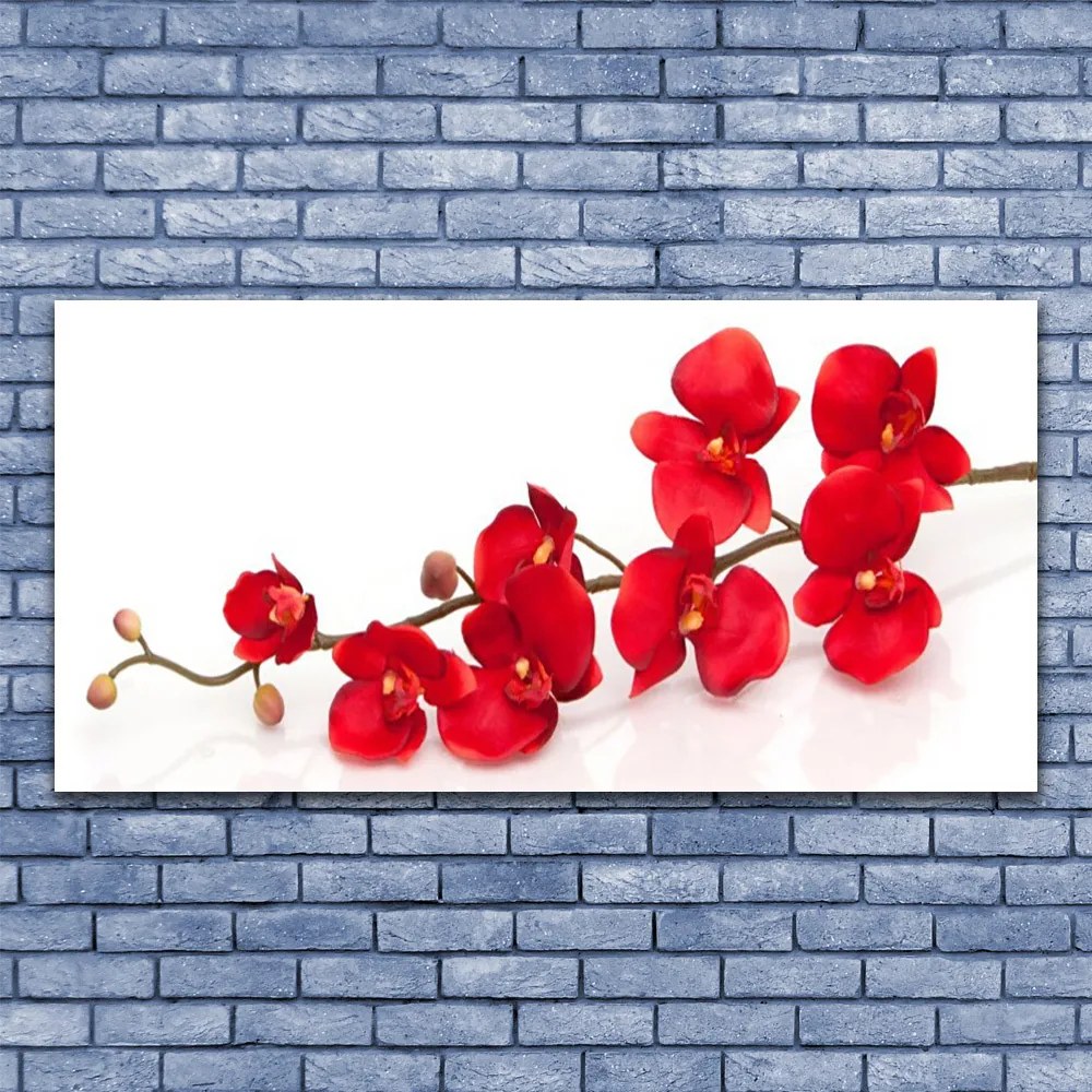 Zdjęcie na płótnie Klasyczny Motyw Botaniczny