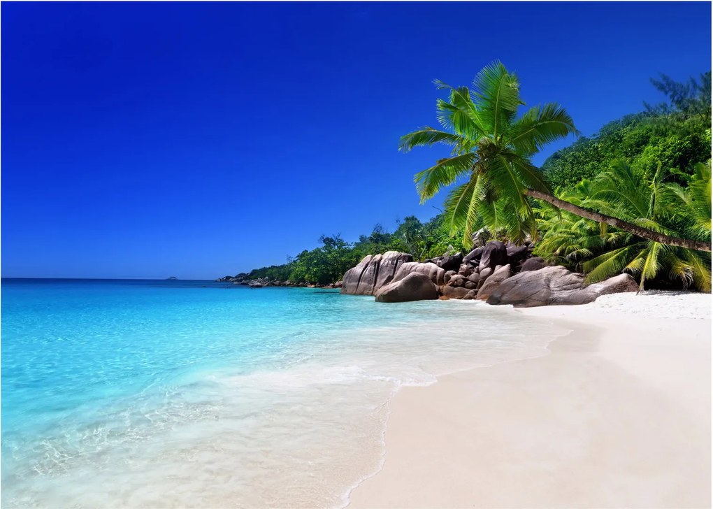 Obraz na szkle - plaża na wyspie Praslin (70x50 cm)