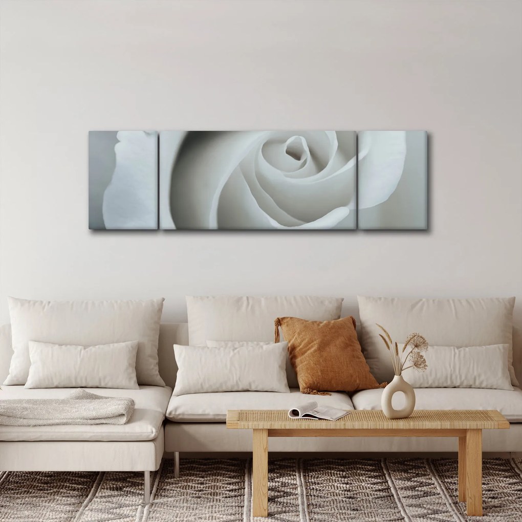Obraz - Biała róża (170x50 cm)