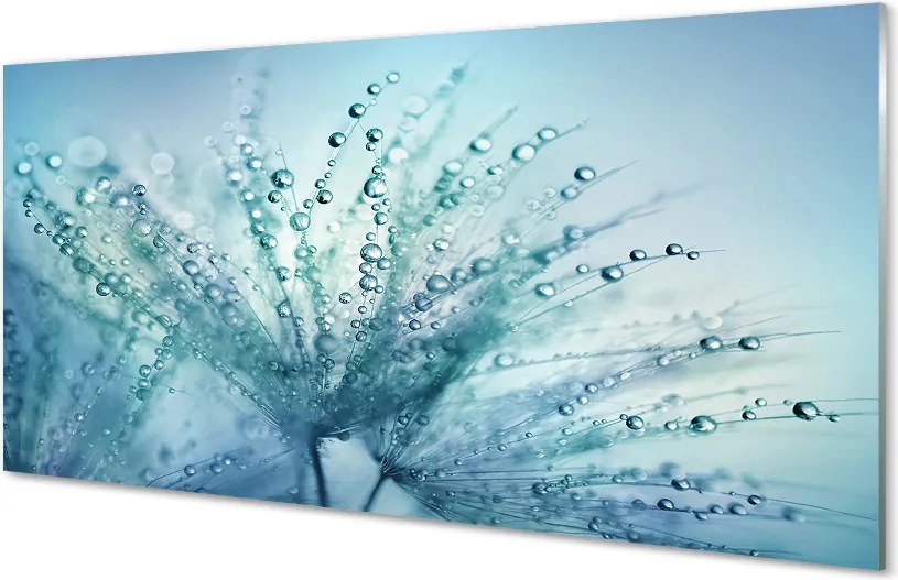 Panel nad Blat Kuchenny Ulotne Krople na Dmuchawcu