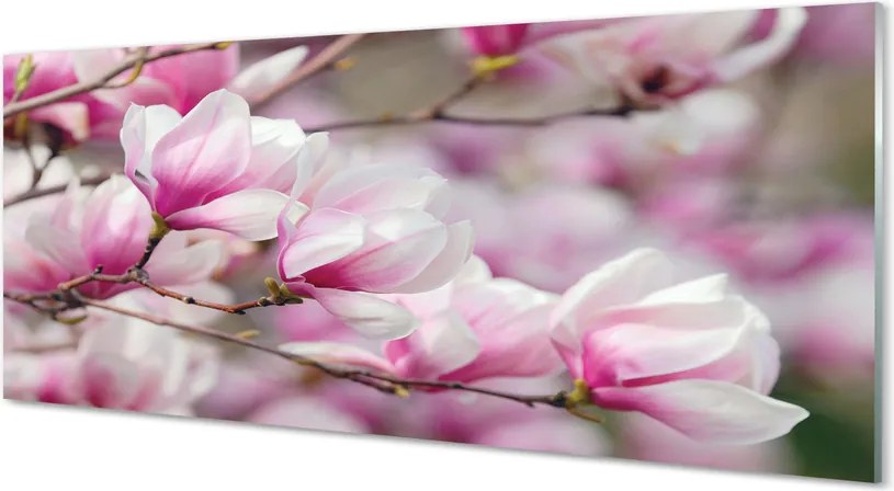 Panel Kuchenny Szklany Białe Kwiaty na Drzewach