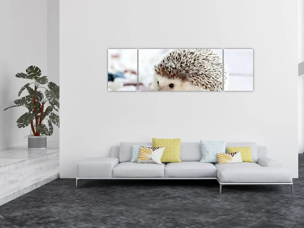 Obraz jeża (170x50 cm)