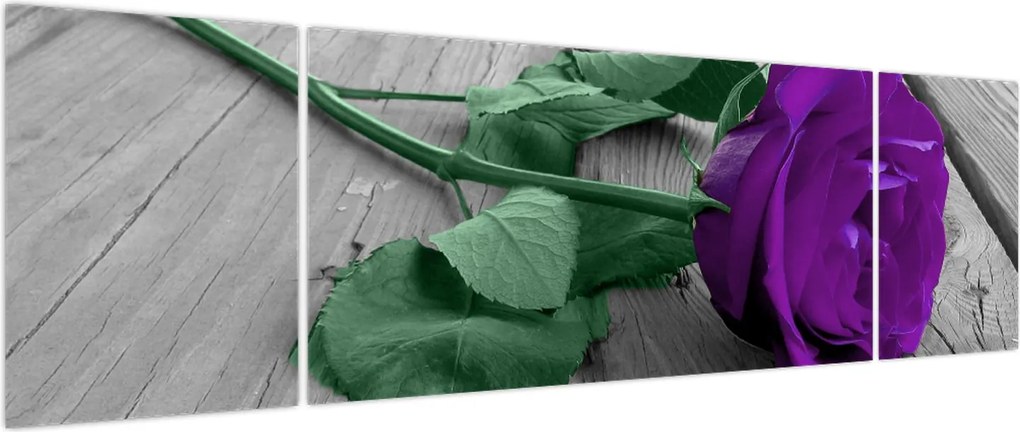 Obraz - Fioletowa róża z zieloną łodygą (170x50 cm)