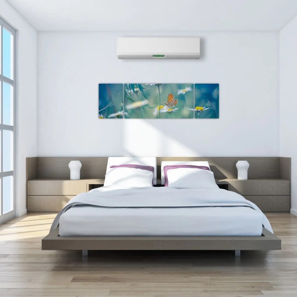Obraz - Motyl na stokrotce (170x50 cm)