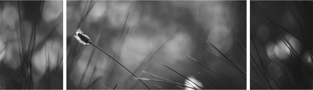 Obraz - Trawa łąkowa (170x50 cm)
