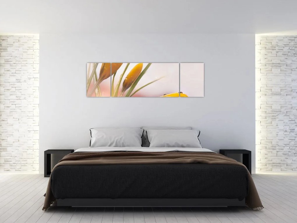Obraz - Wiosenne kwiaty (170x50 cm)