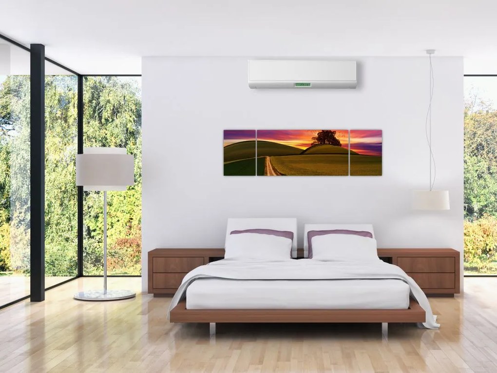 Obraz pola z zachodem słońca (170x50 cm)
