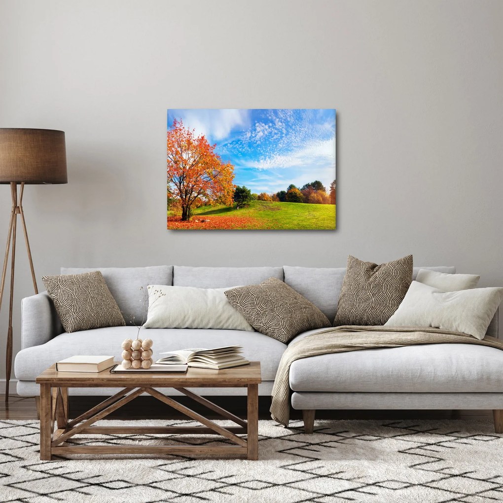 Obraz - Jesienny krajobraz (70x50 cm)