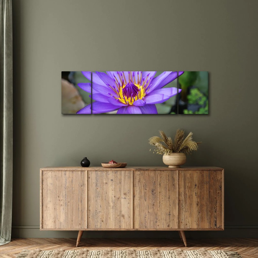 Obraz - Fioletowy kwiat (170x50 cm)