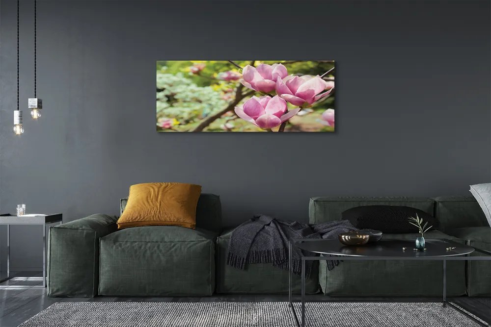 Obraz canvas na ścianę Drzewa Magnolii
