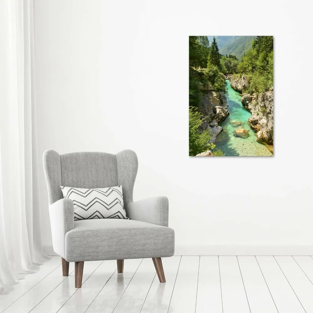 Foto obraz canvas pionowy Potok górski