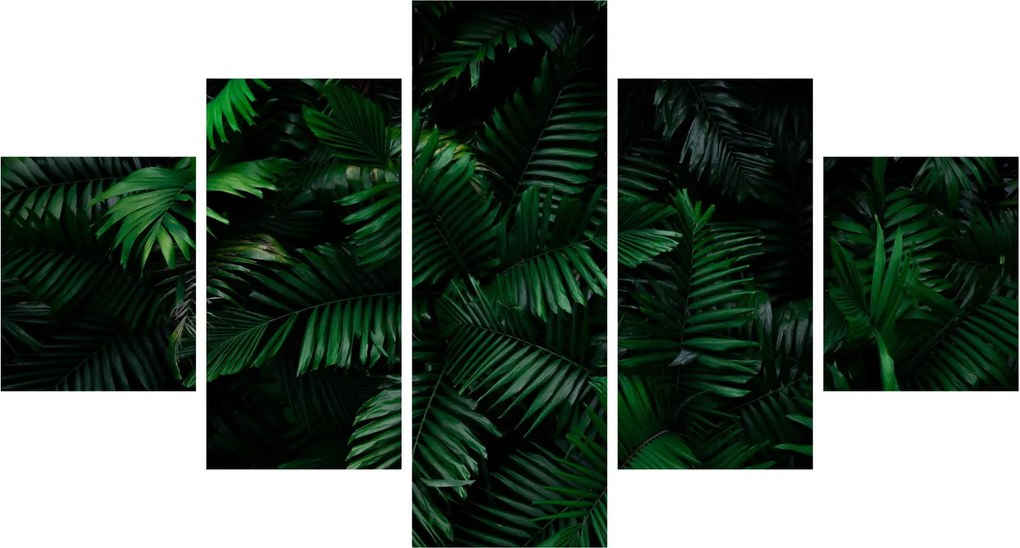 Obraz - Paprocie tropikalne (125x70 cm)