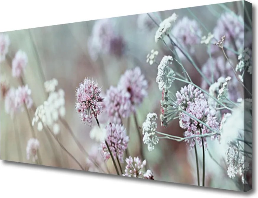 Obraz canvas Rozkwit Polnej Polany