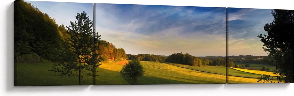 Obraz - Górska łąka (170x50 cm)