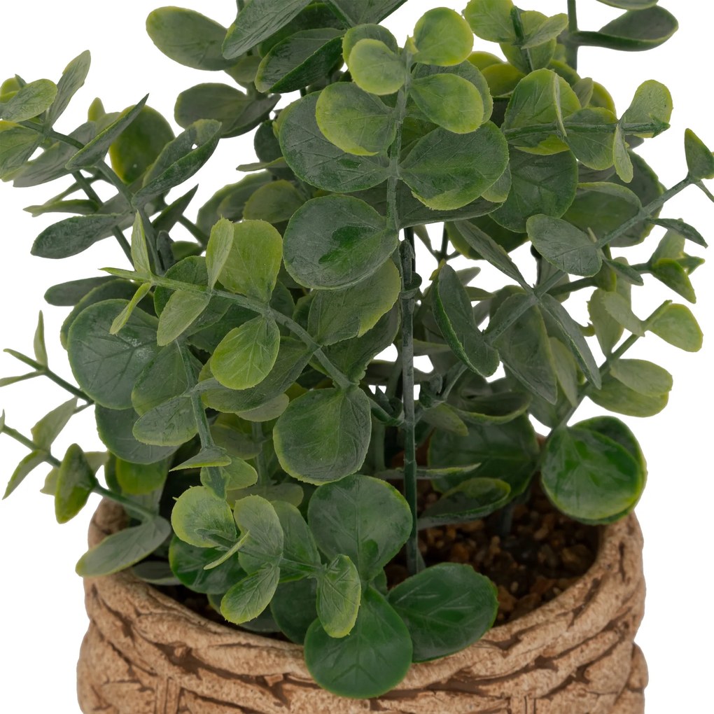 Sztuczny eukaliptus JAYE w ceramicznej doniczce, wys. 27 cm