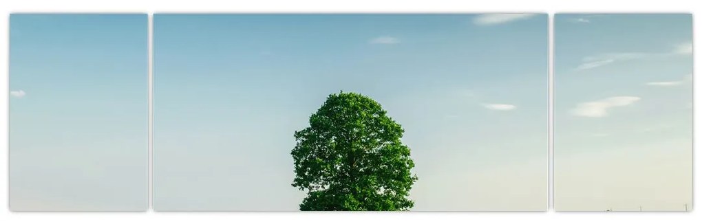 Obraz drzewa na łące (170x50 cm)