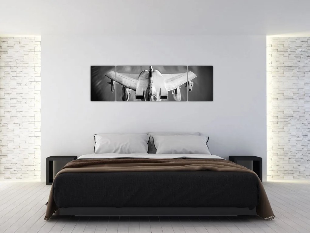 Obraz - Samolot (170x50 cm)