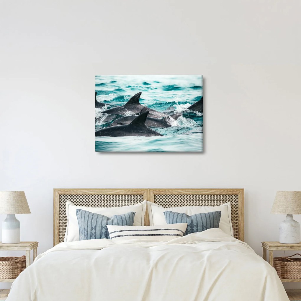 Obraz - Delfiny w oceanie (70x50 cm)
