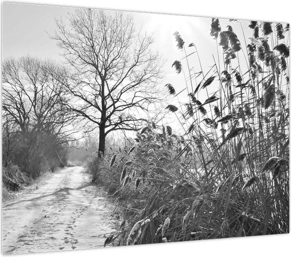 Obraz - Pola w zimie (70x50 cm)