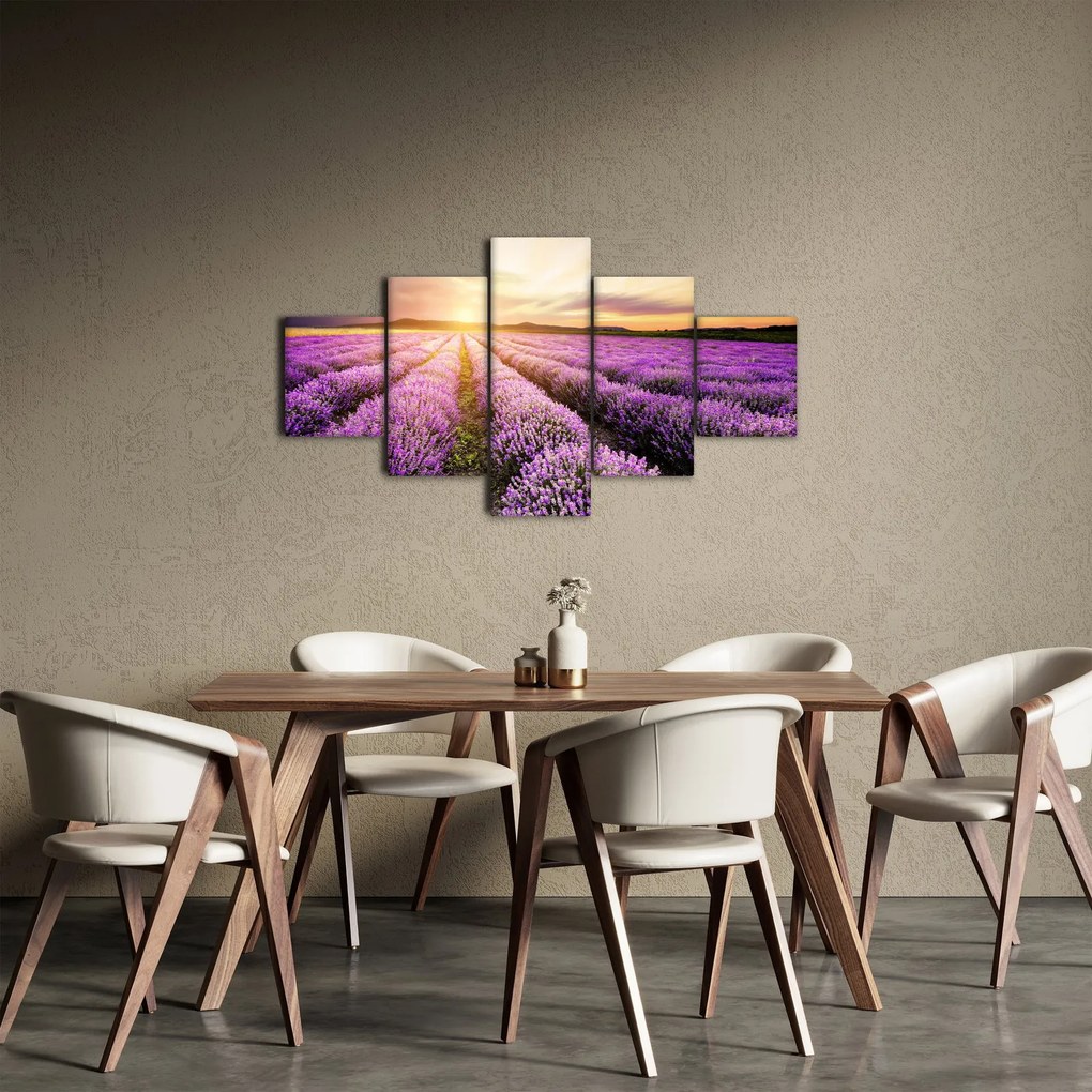Obraz - Wschód słońca na polu lawendy (125x70 cm)