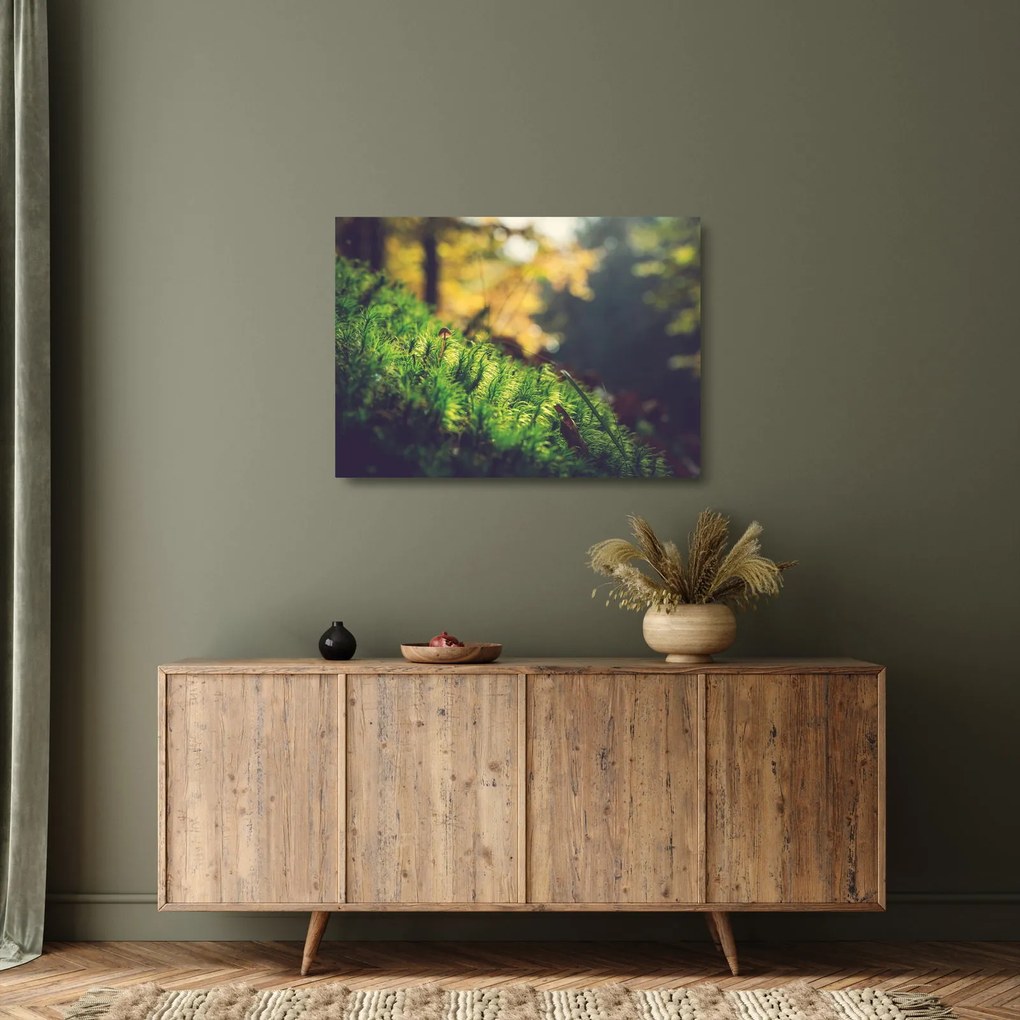 Obraz na szkle mchu z grzybem (70x50 cm)