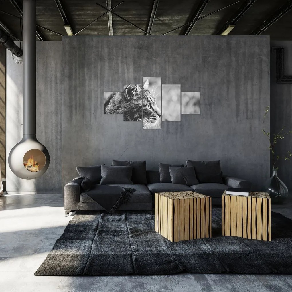 Obraz - Kot (125x70 cm)