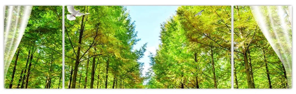 Obraz - Widok na las (170x50 cm)