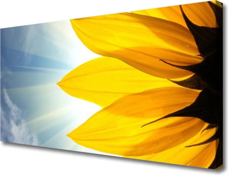 Obraz na płótnie Delikatne Płatki Kwiatowe