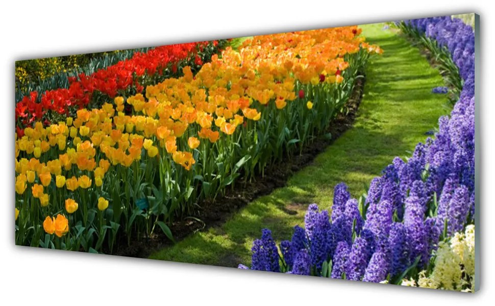 Obraz Akrylowy Kwiaty Ogród Tulipany