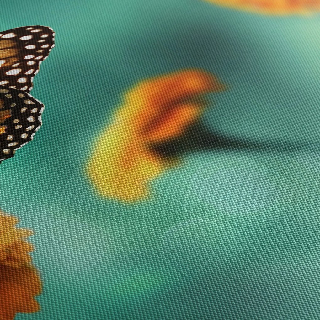 Obraz motyla (125x70 cm)