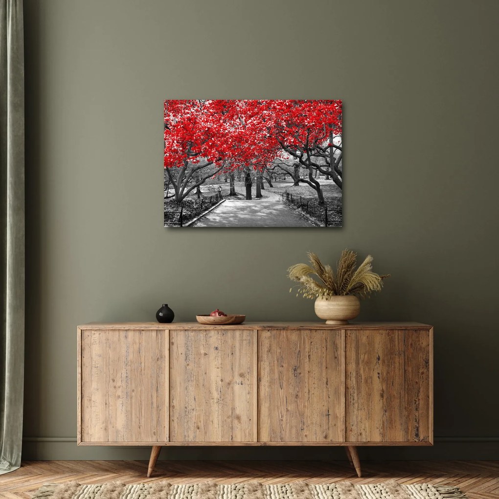 Obraz - Czerwone drzewa, Central Park, New York (70x50 cm)