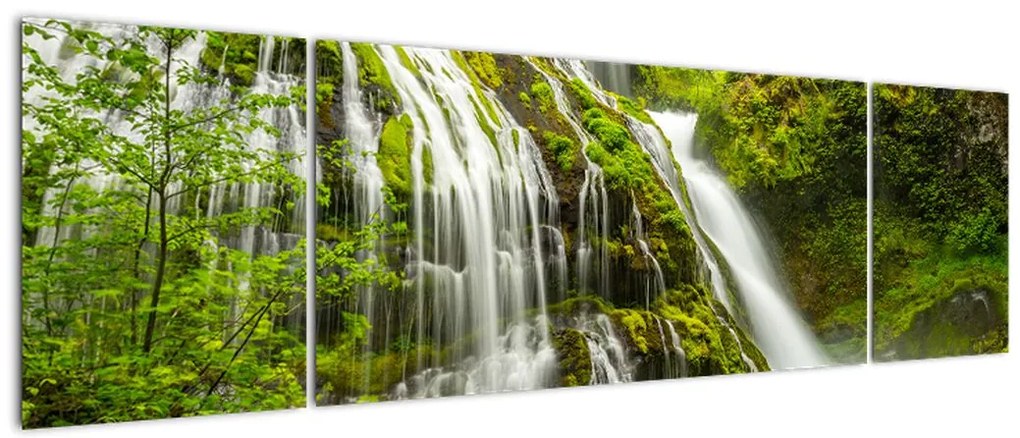 Obraz - Wodospad, Wind River Valley (170x50 cm)