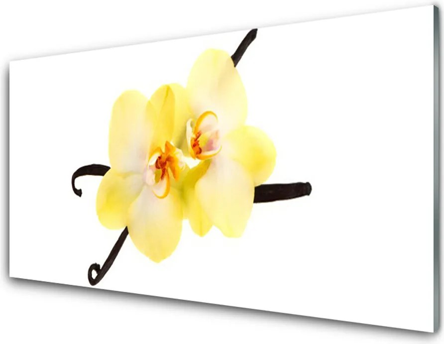 Panel Szklany Pełnia Barw Natury