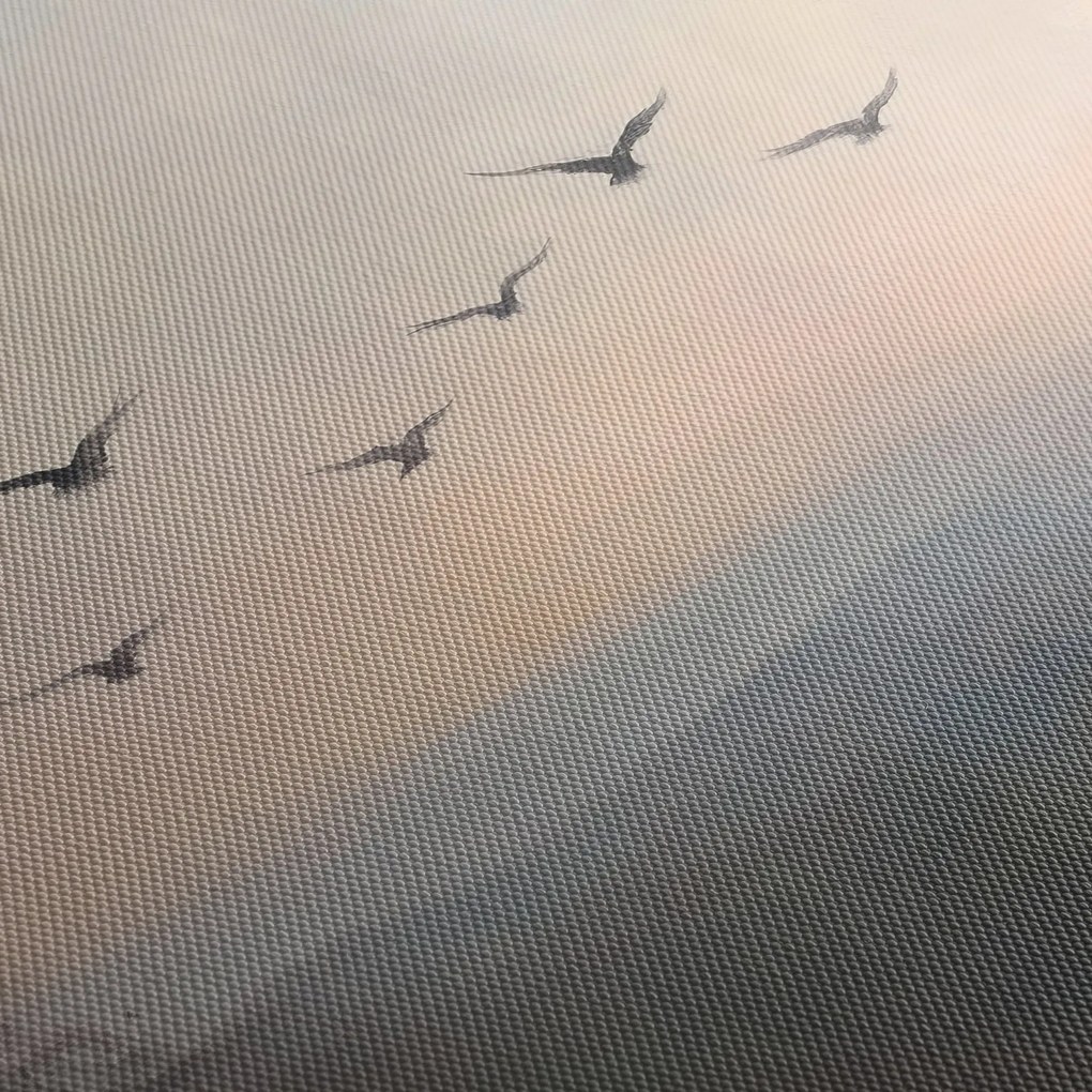Obraz - Stado ptaków (170x50 cm)